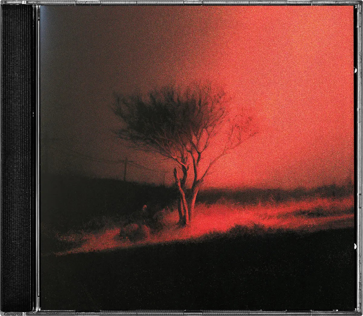 Joji - Piss In The Wind