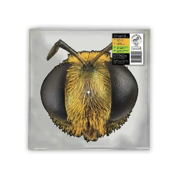 RSD26 - King Gizzard & the Lizard Wizard - Big Fig Wasp