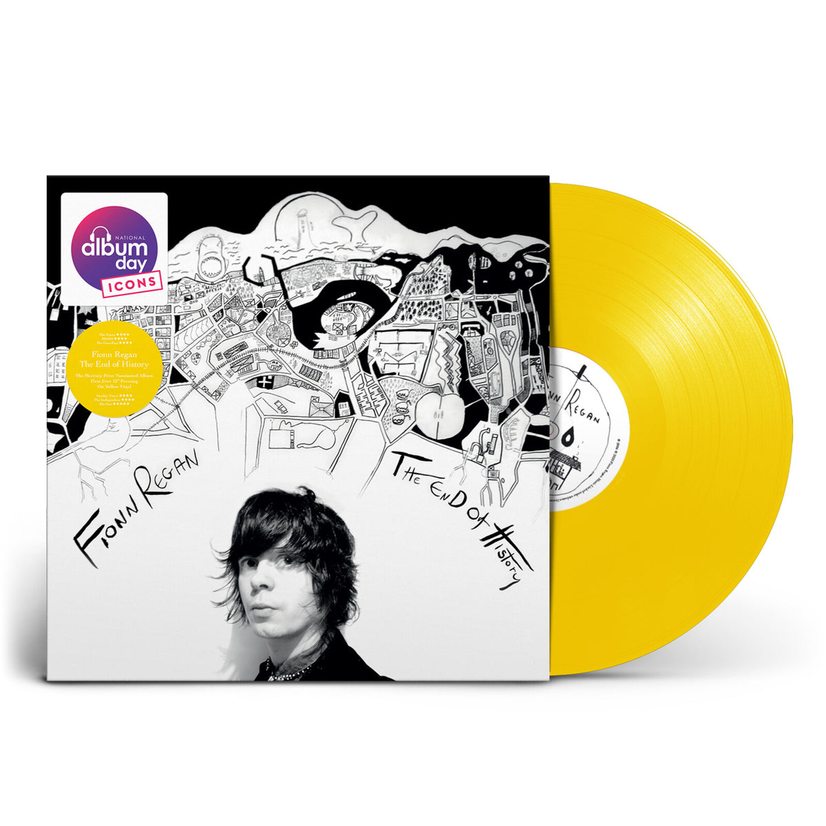 NAD26 - Fionn Regan - The End Of History