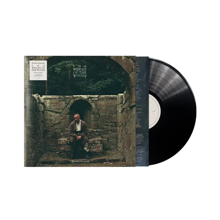 Dermot Kennedy - The Weight of the Woods