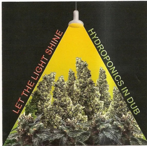 Hydroponics - Let the Light Shine