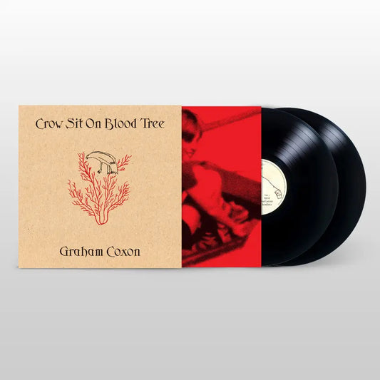 Graham Coxon - Crow Sit On Blood Tree