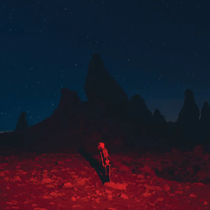 Phoebe Bridgers - Punisher