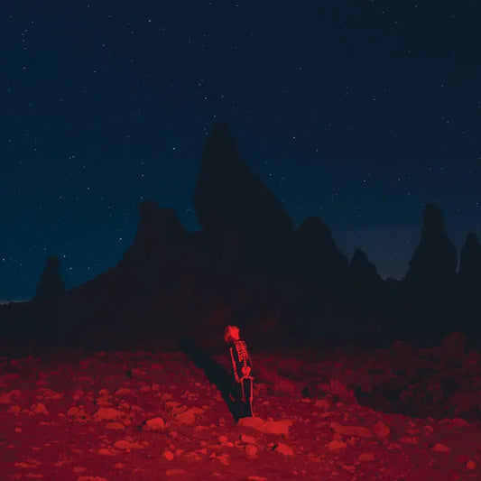 Phoebe Bridgers - Punisher