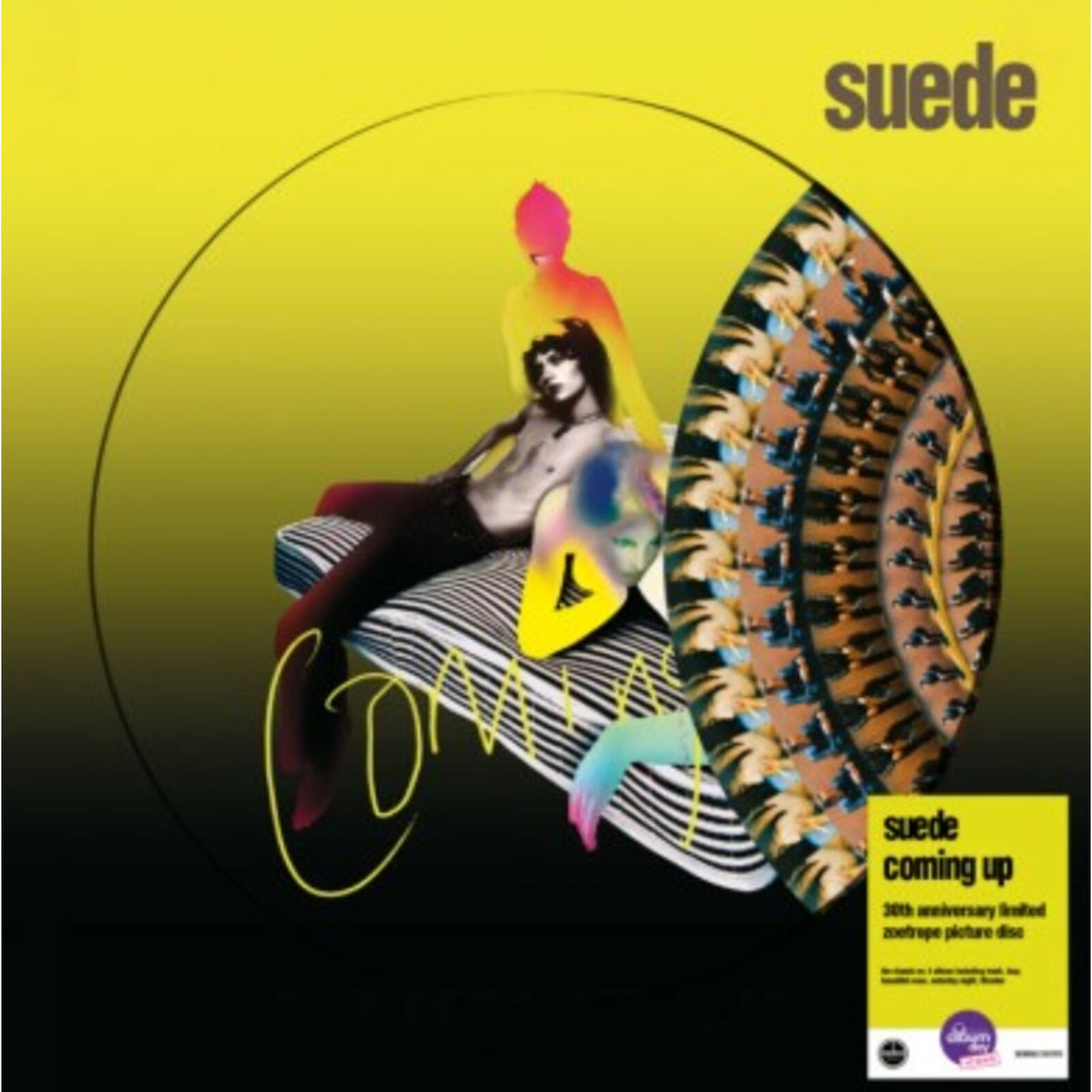 NAD26 - Suede - Coming Up