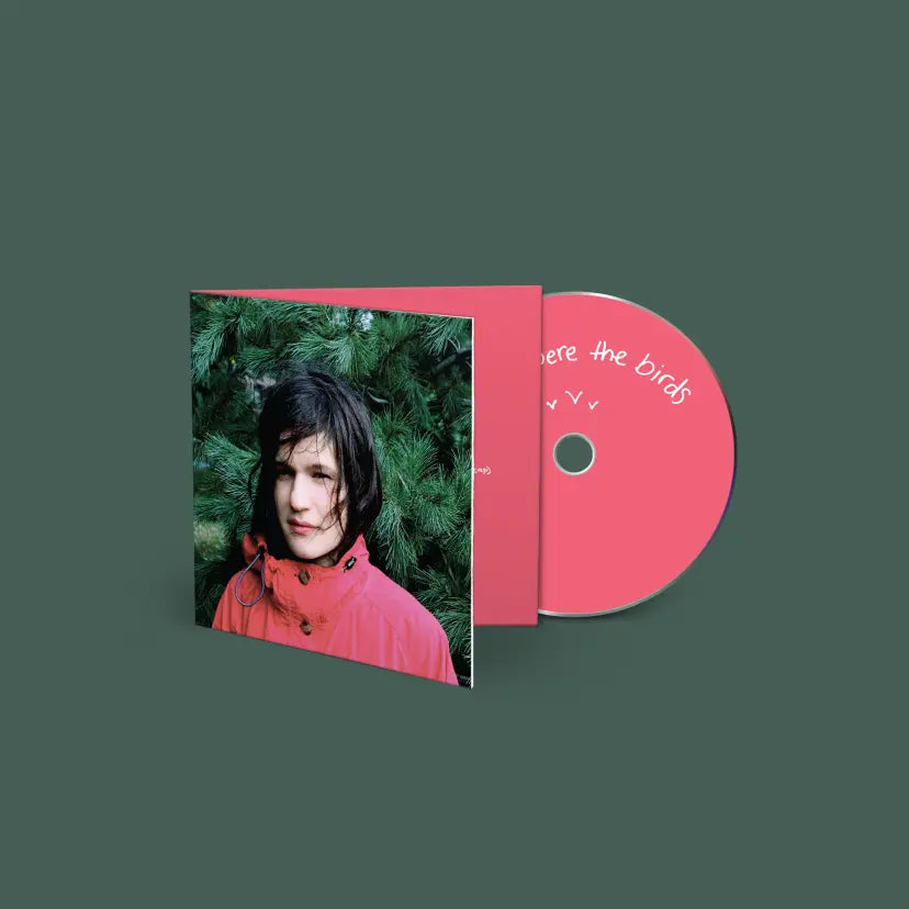 Adrianne Lenker - Hours Were The Birds