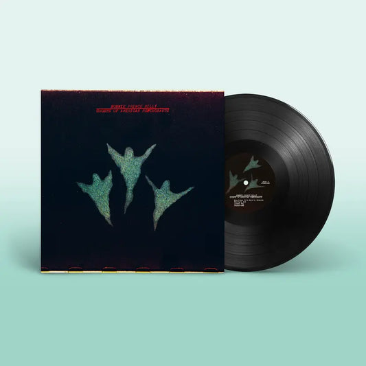 Bonnie Prince Billy - Ghosts of American Psychonauts