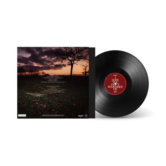 Baby Queen - I Hope You Don’t Remember Me