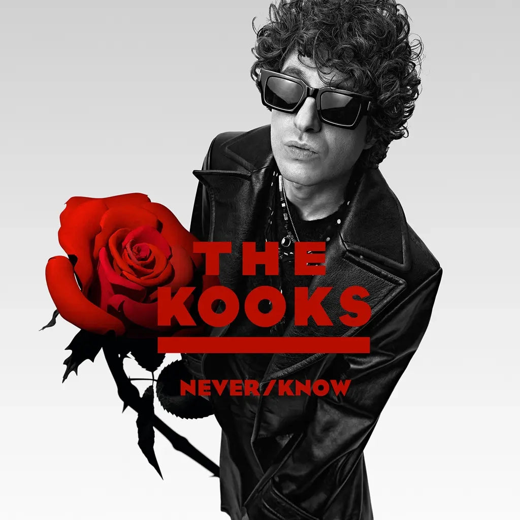 The Kooks - Never/ Know