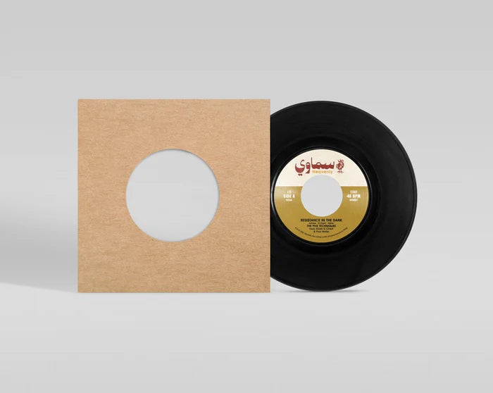 the Five Techniques feat. Roisin El Cherif & Paul Weller - Resistance In The Dark