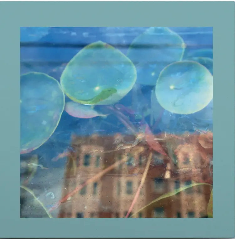 The Reds, Pinks and Purples - Acknowledge Kindness