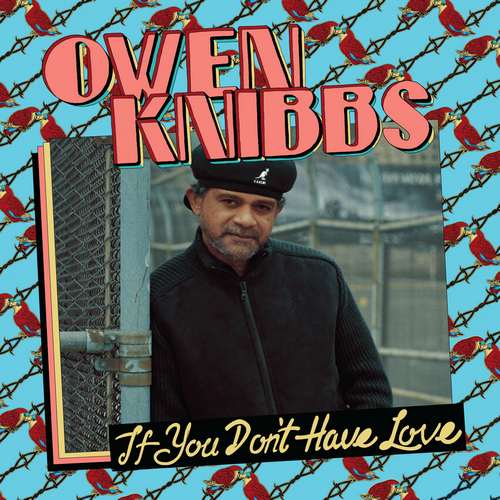 Owen Knibbs - If You Don't Have Love