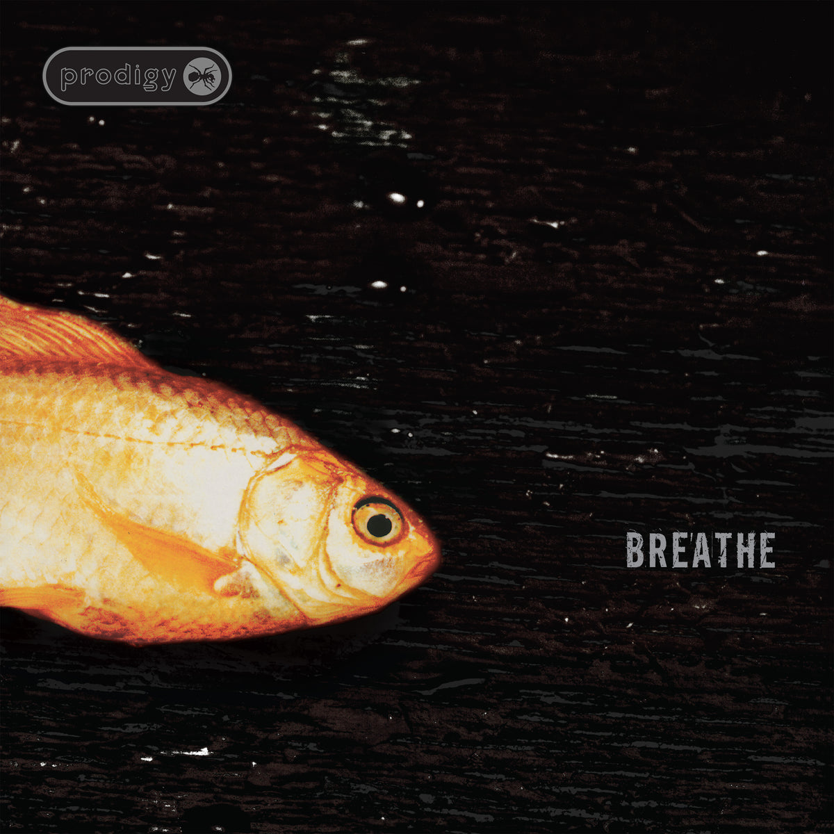 The Prodigy - Breathe (30th Anniversary)
