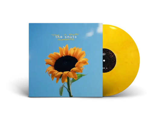 The Snuts – Joy In Short Moments
