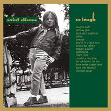 saint etienne - so tough