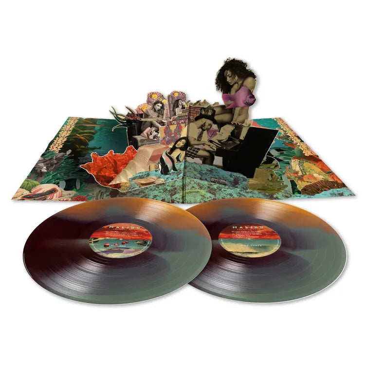 Anderson .Paak - Malibu (10 Year Anniversary)