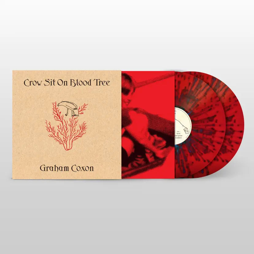 Graham Coxon - Crow Sit On Blood Tree