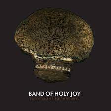 Band Of Holy Joy - Fated Beautiful Mistakes