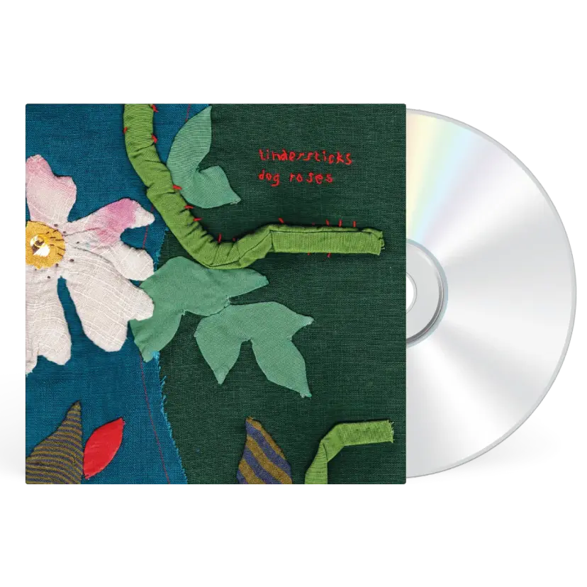Tindersticks - Dog Roses