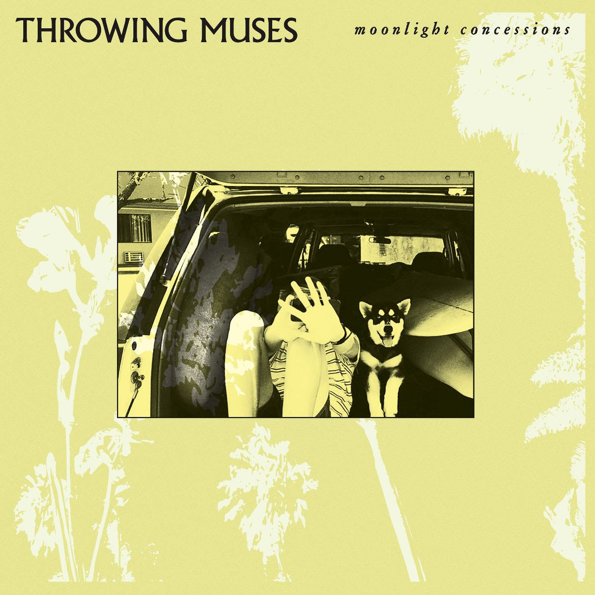 Throwing Muses