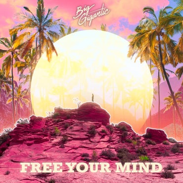 Big Gigantic - Free your mind