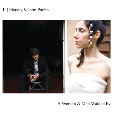 PJ Harvey & John Parish - A Woman A Man Walked By