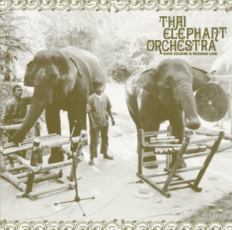Thai Elephant Orchestra -