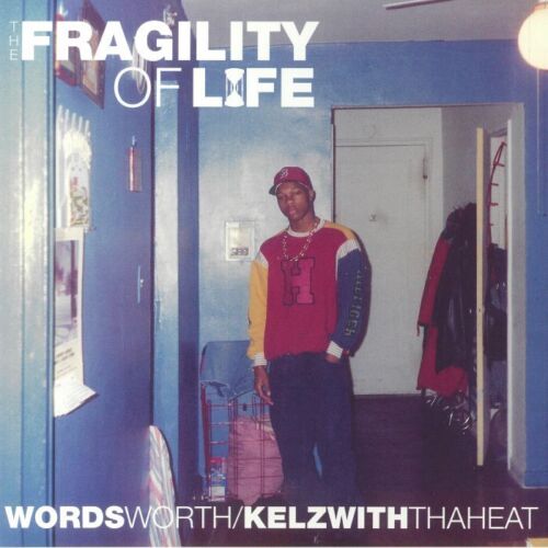 Wordsworth- The Fragility of Life