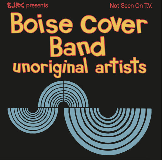 Boise Cover Band - Unoriginal Artists